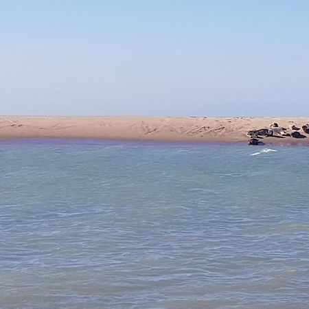L Hyppo Camp' Bed and Breakfast Oye-Plage Buitenkant foto