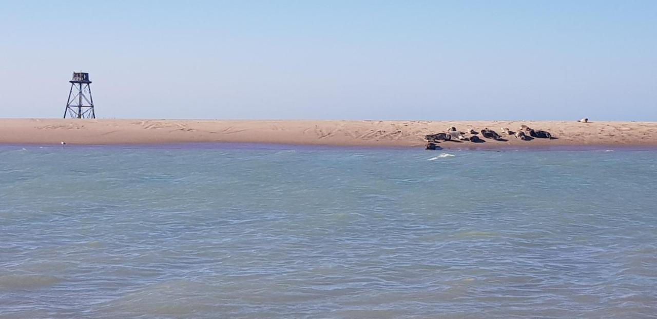 L Hyppo Camp' Bed and Breakfast Oye-Plage Buitenkant foto