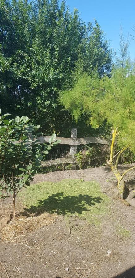 L Hyppo Camp' Bed and Breakfast Oye-Plage Buitenkant foto